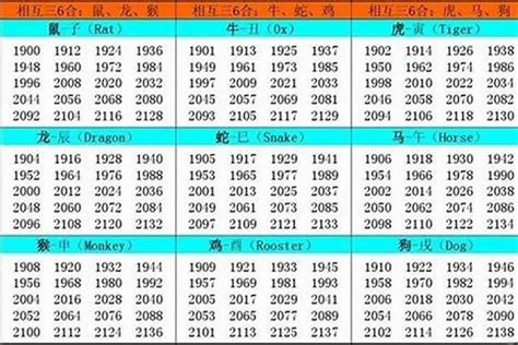 1988年是什么生肖|1988年是什么生肖